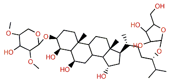 Laeviuscoloside F